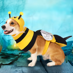 Spooktacular Creations YS-0369-UA2C fancy dress Fancy costume