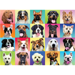 Joyin 13364 puzzle