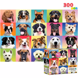 Joyin 13364 puzzle