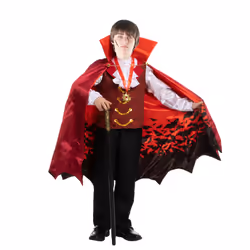 Spooktacular Creations SPO-BW-20577-3T fancy dress Fancy costume