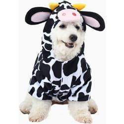 Spooktacular Creations SPO-BW-20534-M fancy dress Fancy costume