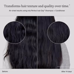 Living proof Perfect hair Day Conditioner  Hydrating Conditioner for Women  Strengthens & Enhances Shine  8 oz