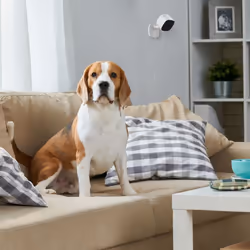 Swann SWIFI-SE2KIC IP security camera Indoor 2560 x 1440 pixels Wall - Additional view 5