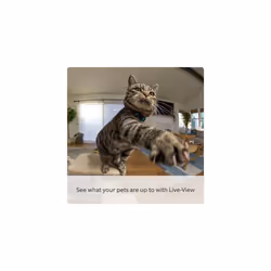 Pan-Tilt Indoor Camera | Plug-In Pet Security Camera | 360 pan & 169 tilt coverage, Manual Privacy Cover, HD video, Two-Way Talk, Wi-Fi | 30-day