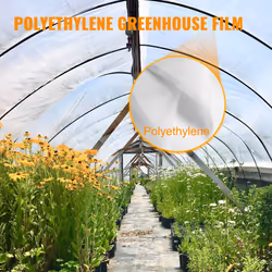 VEVOR Greenhouse Plastic Sheeting 12 x 25 ft, 6 Mil Thickness UV Resistant Clear Polyethylene Film, Hoop Green House Cover for Farms, Agriculture, Gar