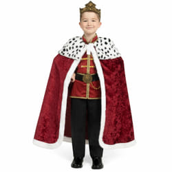 Spooktacular Creations SPO-BU3-21540-S fancy dress Fancy costume Male