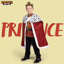 Spooktacular Creations SPO-BU3-21540-S fancy dress Fancy costume Male