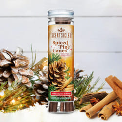 Scentsicles 6 Scented Christmas Tree Hanging Sticks Spiced Pine Cone