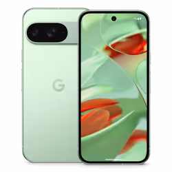 Google Pixel 9 , 12 GB, 256 GB, 50 MP, Android 14, Wintergreen - Additional view 7