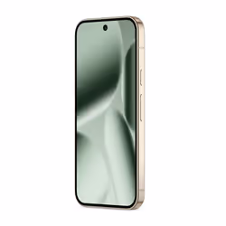 Google Pixel 10 Pro XL 16 GB 256 GB Green - Additional view 8