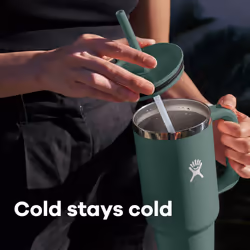 Hydro Flask All Around Travel Tumbler Oat 32 Oz
