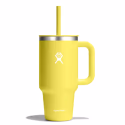 Hydro Flask All Around Travel Tumbler Cactus 32 Oz