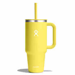 Hydro Flask All Around Travel Tumbler Cactus 40 Oz