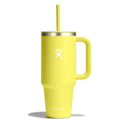 Hydro Flask All Around Travel Tumbler Cactus 40 Oz