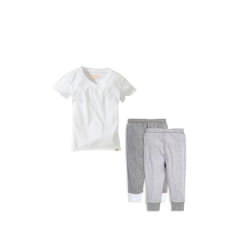 Burt's Bees Baby Baby Boys' Shirt Bottom Outfit Bundle  100% Organic Cotton  Grey Top & 2-PK Pant Set