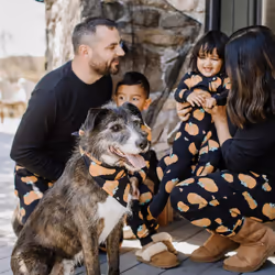 Burt's Bees Baby Baby Kids 2-Piece Family Jammies Matching Holiday Organic Cotton Pajamas  Midnight Pumpkins 2024  10 Years
