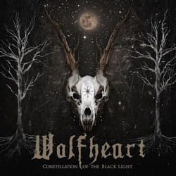 ImportCDs Constellation of The Black Light Vinyl Heavy Metal