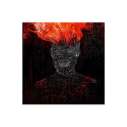 ID3z - MYGRAIN - V - CD - New