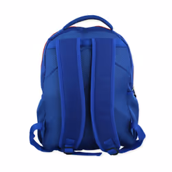 Marvel Spider-Man Spidey and Friends Boys Girls 16"" School Backpack (One Size  Blue/Red)