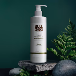 Bulldog Mens Skincare and Grooming 2-in-1 Shampoo and Conditioner, Alpine, 12 Fluid Ounces