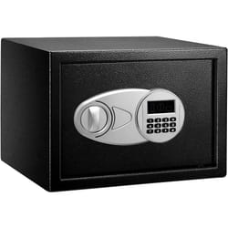 AmazonBasics 25EI safe Freestanding safe 14 L Steel Black