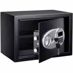 AmazonBasics 25EI safe Freestanding safe 14 L Steel Black