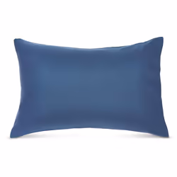 Amazon Basics Twin XL Comforter Set with Sheets  5-Piece Blue Calvin Striped Bedding  Lightweight Microfiber Bed-in-a-Bag