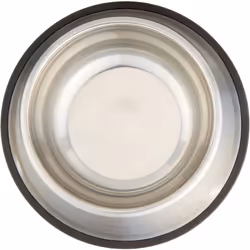 Amazon Basics Stainless Steel Dog Bowl  Single