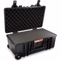 AmazonBasics WXD0582WD camera case Hard case Black