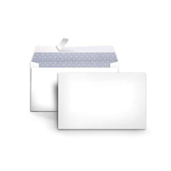 Amazon Basics #6 3/4 Security-Tinted Envelopes with Peel and Seal  300-Pack  White