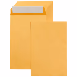 Amazon Basics Catalog Mailing Envelopes Peel and Seal 6x9 Inch Brown Kraft 100-Pack
