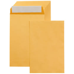 Amazon Basics Catalog Mailing Envelopes  Peel and Seal  6x9 Inch  Brown Kraft  100-Pack