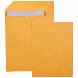 Amazon Basics Catalog Mailing Envelopes Peel and Seal 9x12 Inch Brown Kraft 100-Pack