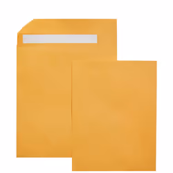 Amazon Basics Catalog Mailing Envelopes Peel and Seal 10x13 Inch Brown Kraft 100-Pack