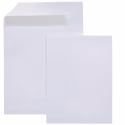 Amazon Basics Catalog Mailing Envelopes Peel and Seal 9x12 Inch 100-Pack White