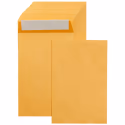 Amazon Basics Catalog Mailing Envelopes Peel and Seal 6x9 Inch Brown Kraft 250-Pack