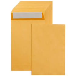 Amazon Basics Catalog Mailing Envelopes  Peel and Seal  6x9 Inch  Brown Kraft  250-Pack