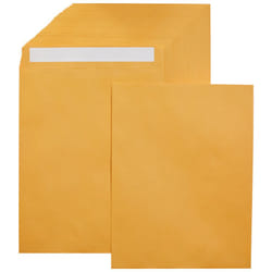Amazon Basics Catalog Mailing Envelopes  Peel and Seal  10x13 Inch  Brown Kraft  250-Pack
