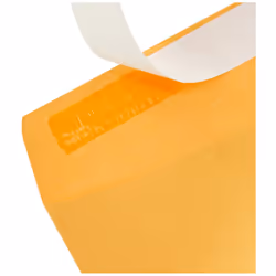 Amazon Basics Catalog Mailing Envelopes  Peel and Seal  10x13 Inch  Brown Kraft  250-Pack