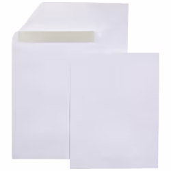 Amazon Basics Catalog Mailing Envelopes Peel and Seal 10x13 Inch White 250-Pack
