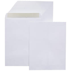 Amazon Basics Catalog Mailing Envelopes  Peel and Seal  10x13 Inch  White  250-Pack