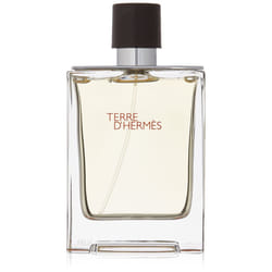 Hermes Terre D'hermes Eau de Toilette Spray for Men  3.3 Fluid Ounce
