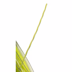 Greenworks 0.095"""" 100-Foot Twisted String Trimmer Line