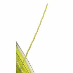 Greenworks 0.080"""" 200-Foot Twisted String Trimmer Line