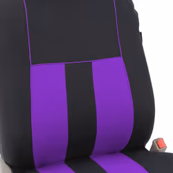 FH Group Car Seat Covers Front Set Cloth - Seat Covers for Low Back Ca