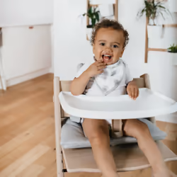 aden + anais Essentials Dribble/bandana bib Cotton