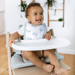 aden + anais Essentials Feeding/messy bib Cotton
