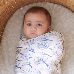 aden + anais Organic Cotton Swaddles 4 pack Outdoors