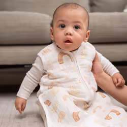 aden + anais ASEC10022 baby sleeping bag Boy/Girl Multicolour