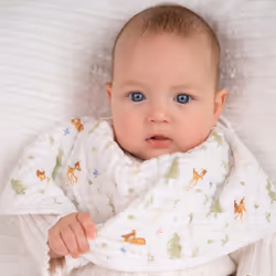 aden + anais EBBC10027DI baby bib Feeding/messy bib Cotton
